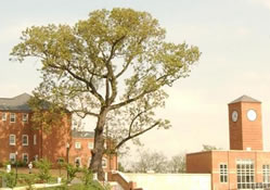 Mount Vernon Campus